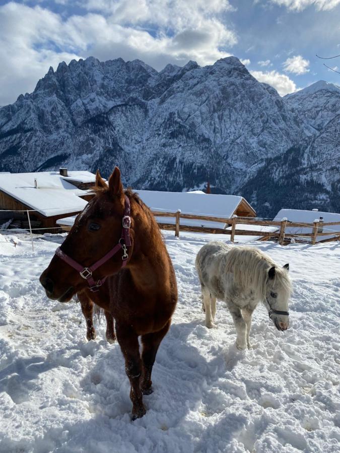 Southern Stables Ranch Bannberg Zewnętrze zdjęcie